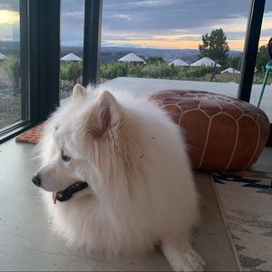 Meet your Posher, Fan